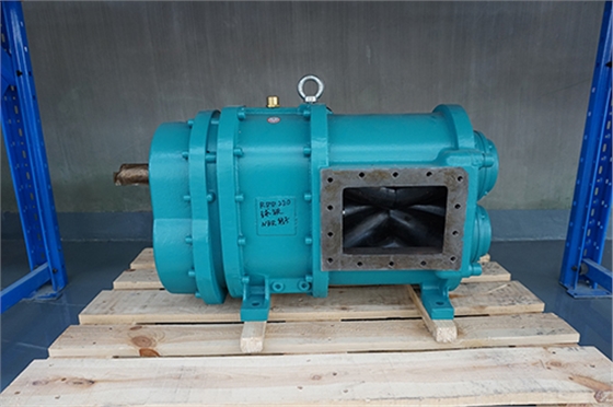 羅德RDD220型凸輪轉(zhuǎn)子泵20160720 羅德RDD220型凸輪轉(zhuǎn)子泵20160720