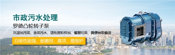 羅德凸輪轉(zhuǎn)子泵提供污水廠污泥泵選型 羅德凸輪轉(zhuǎn)子泵提供污水廠污泥泵選型