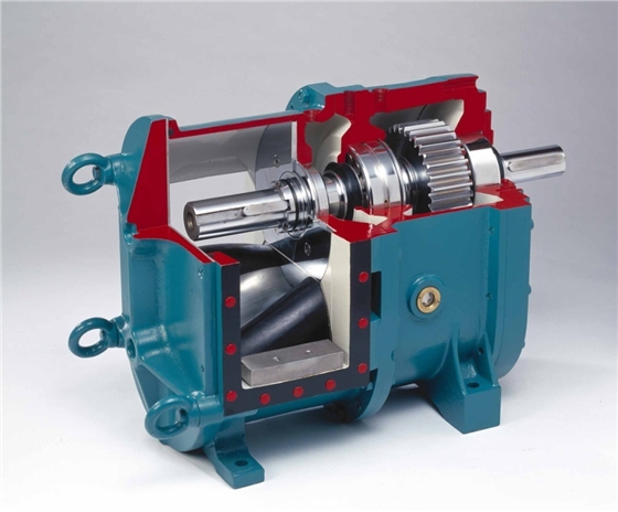 轉(zhuǎn)子泵 轉(zhuǎn)子泵