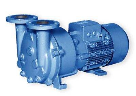 水環(huán)式真空泵 水環(huán)式真空泵
