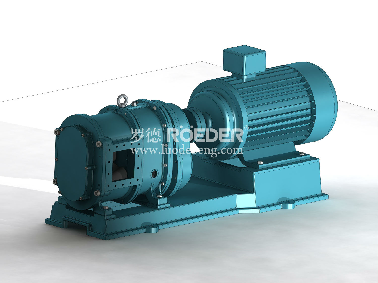 凸輪轉子泵 凸輪轉子泵