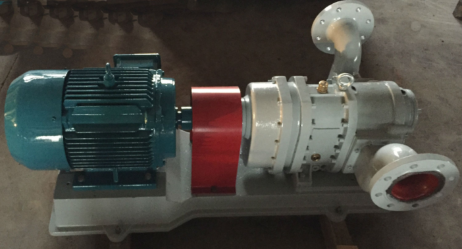 青島羅德轉(zhuǎn)子泵 青島羅德轉(zhuǎn)子泵