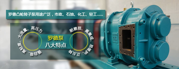 羅德轉子泵特點解析2016032201 羅德轉子泵特點解析2016032201