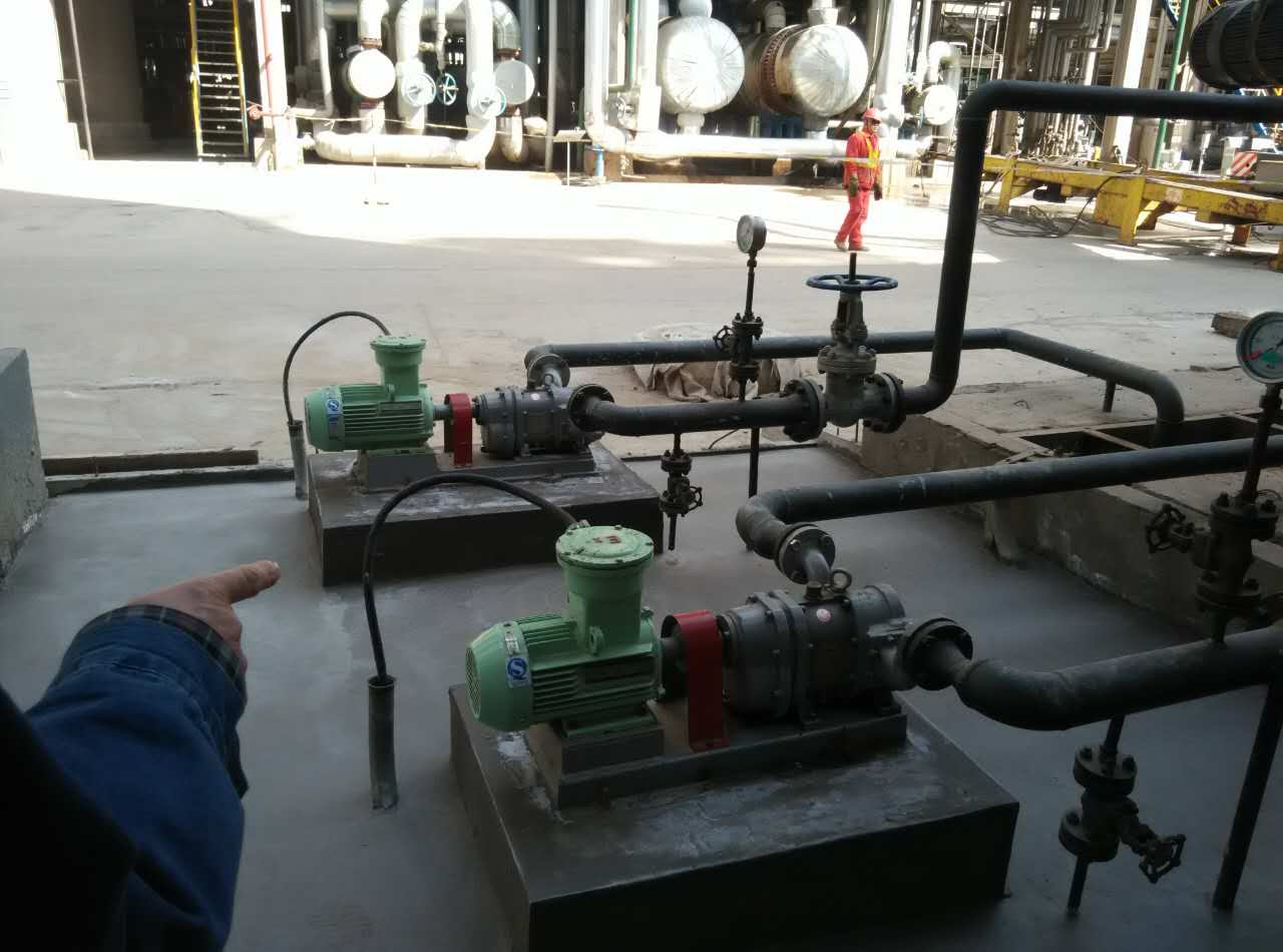 中石油華北石化使用的羅德RDB12型凸輪轉子泵 中石油華北石化使用的羅德RDB12型凸輪轉子泵